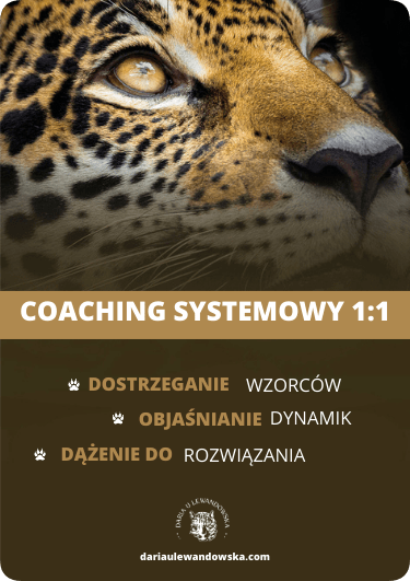 Coaching Systemowy 11-min